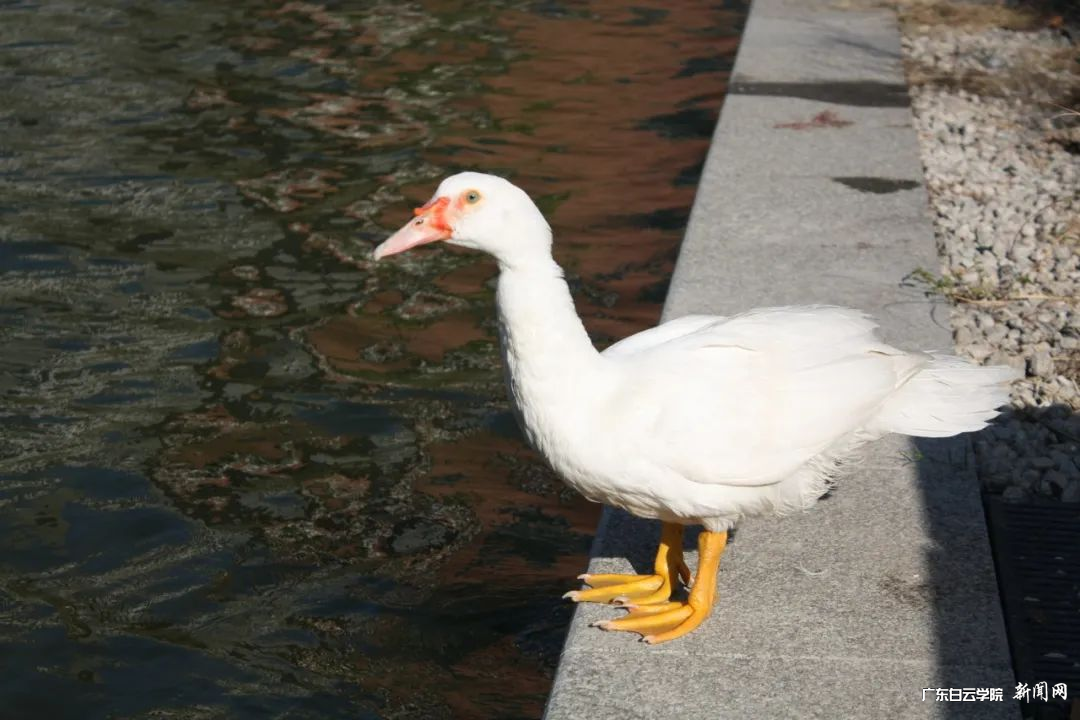 图片 5.png 图片 5.png