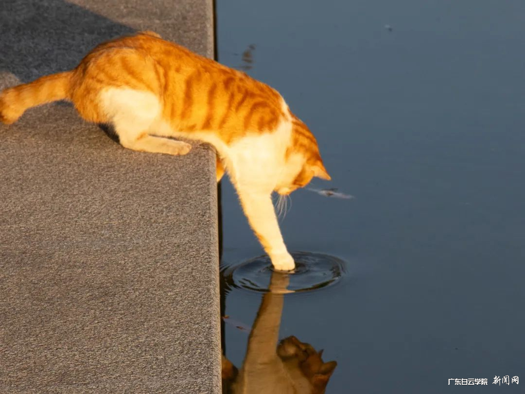 图片 6.png 图片 6.png