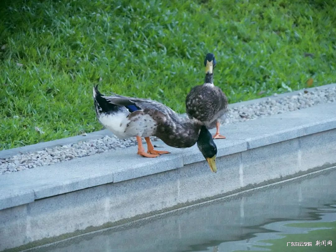 图片 7.png 图片 7.png