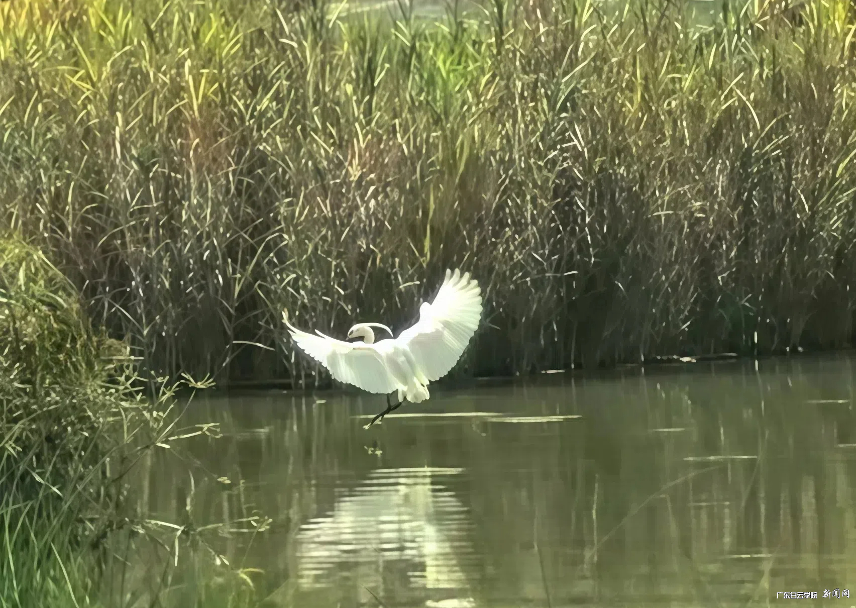 图片 1.png 图片 1.png