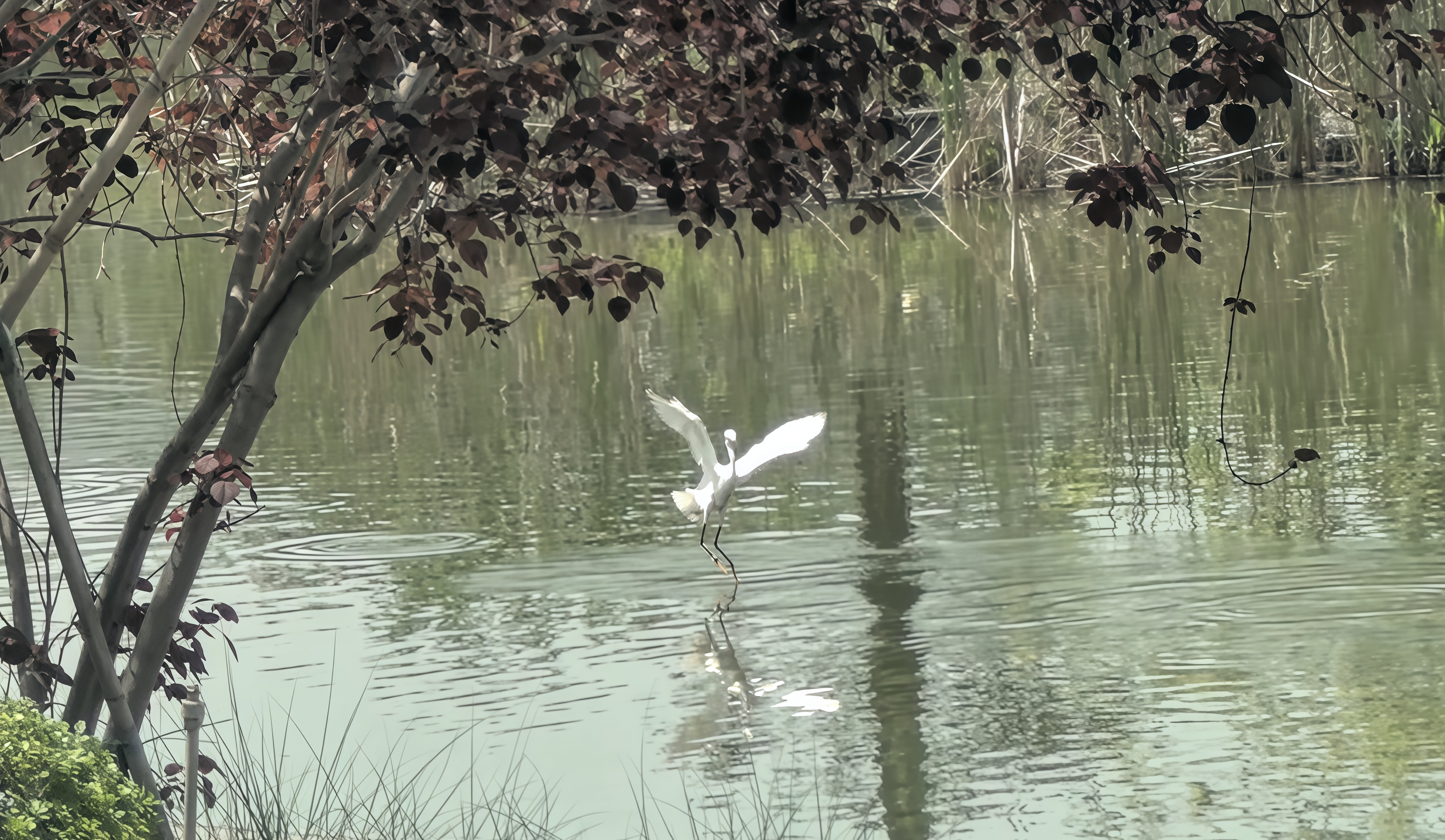 图片 2.png 图片 2.png