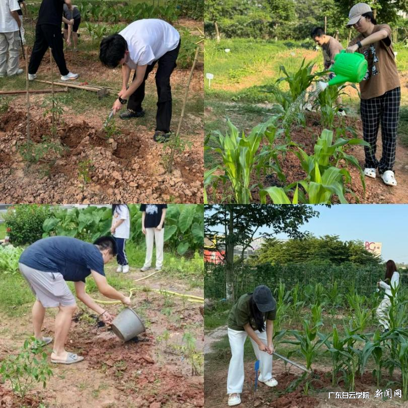 图片 2.png 图片 2.png