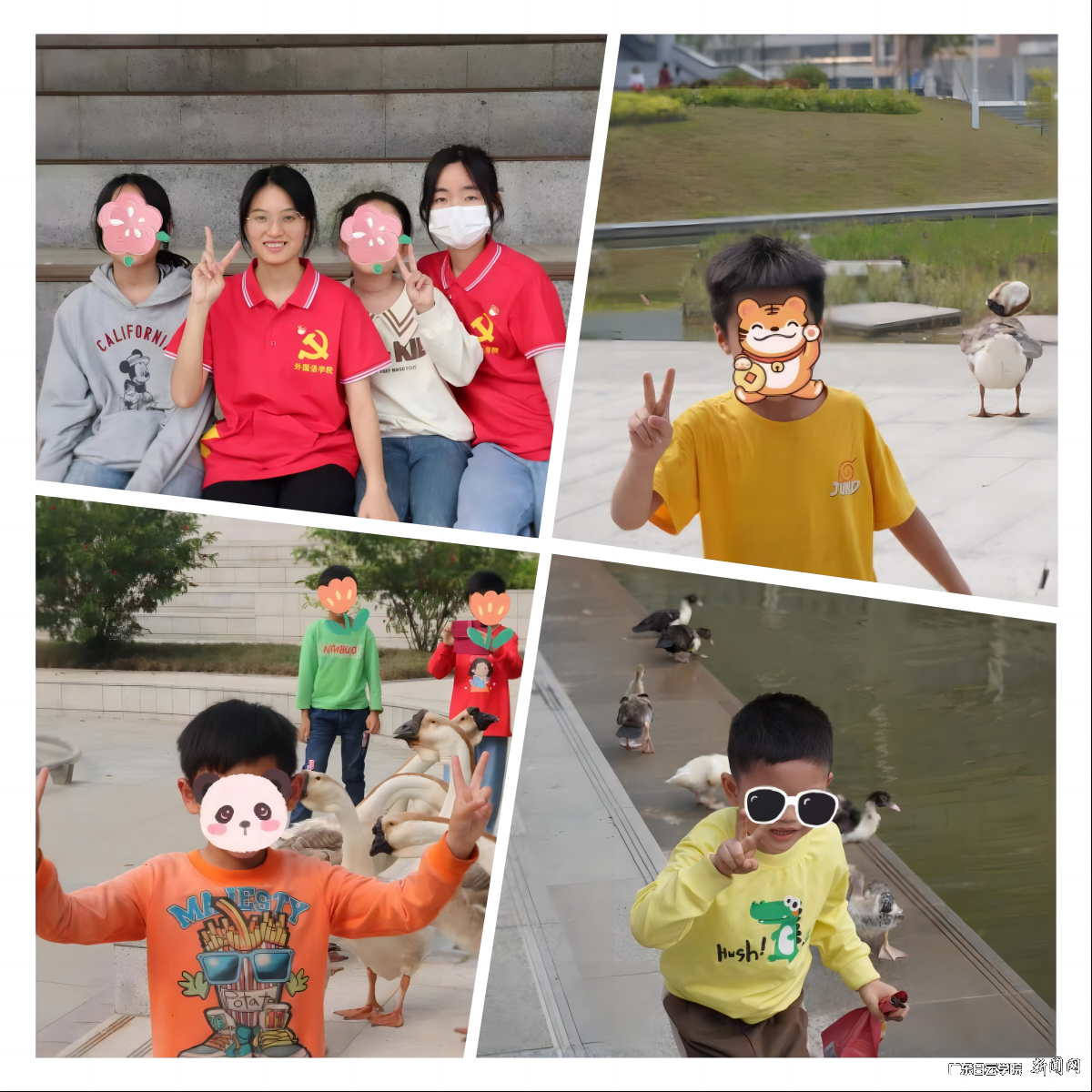 图片 16.png 图片 16.png