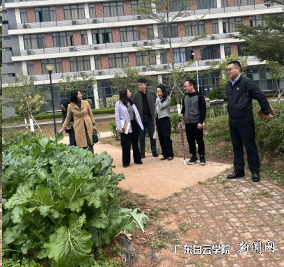 图片 5.png 图片 5.png