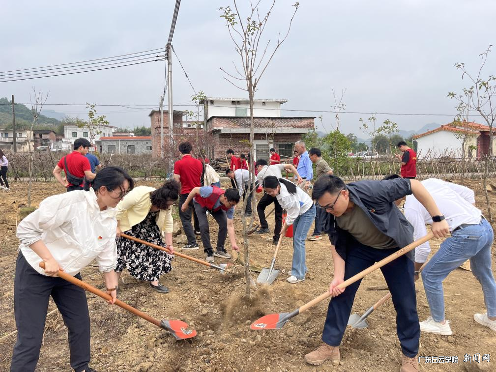 图片 4.png 图片 4.png