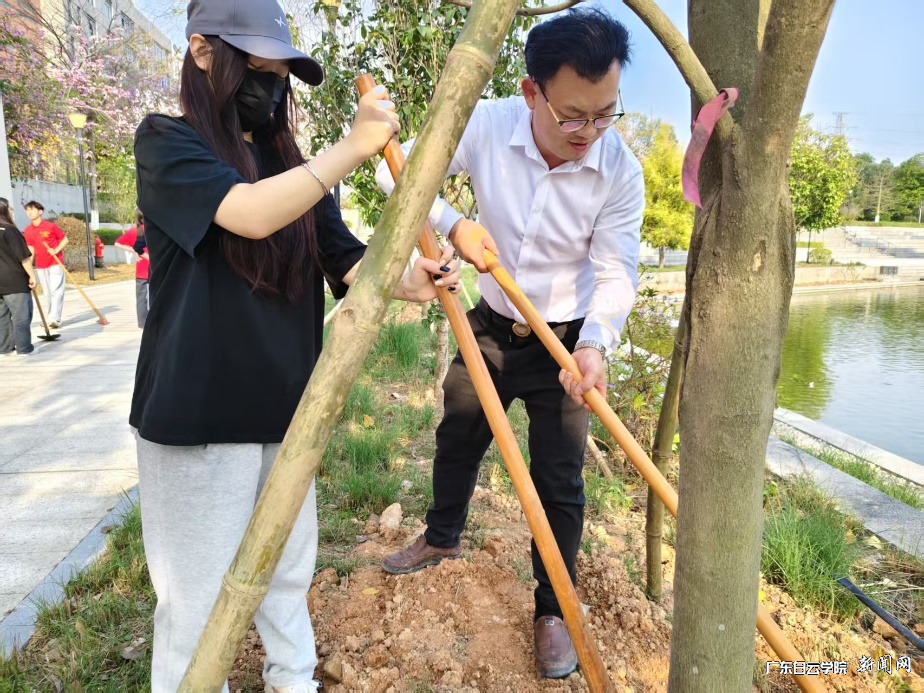 图片 1.png 图片 1.png