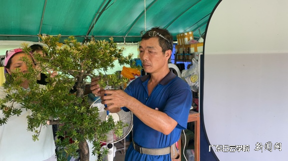 图片 1.png 图片 1.png