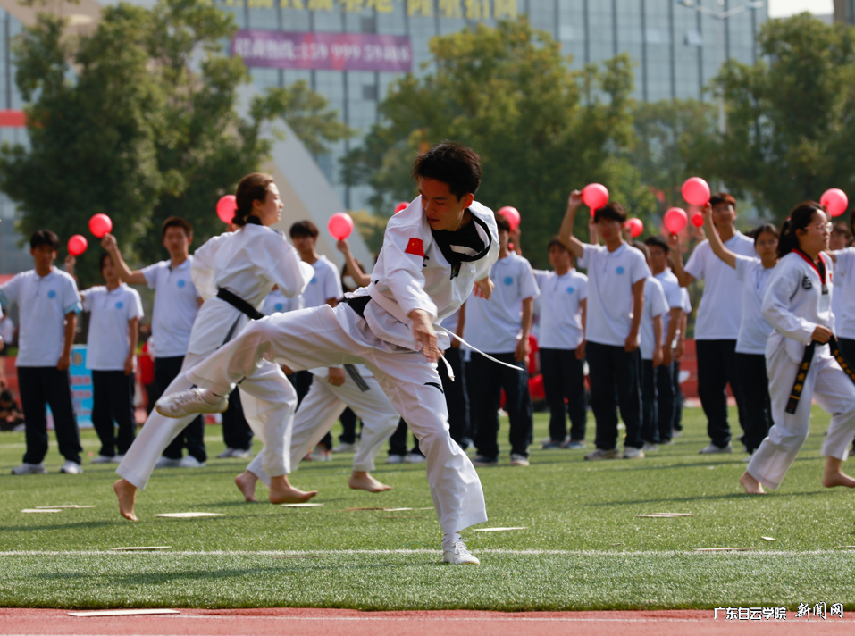 图片 12.png 图片 12.png