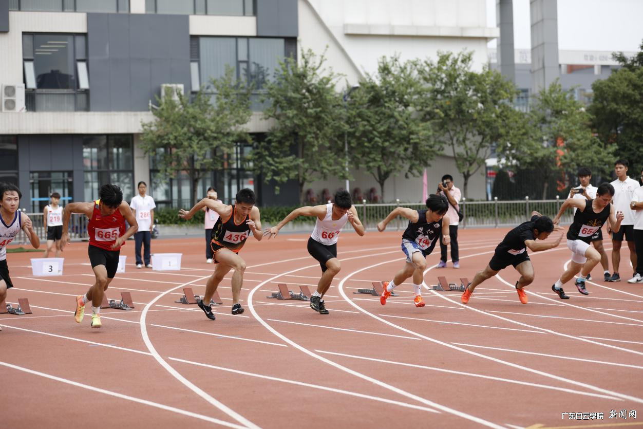 图片 8.png 图片 8.png