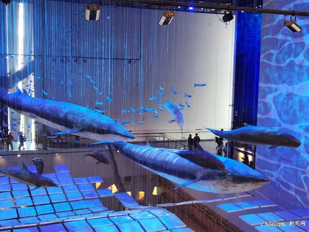 图片 4.png 图片 4.png