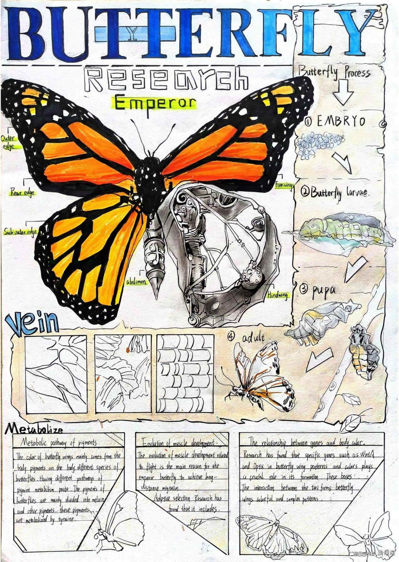 图片 1.png 图片 1.png