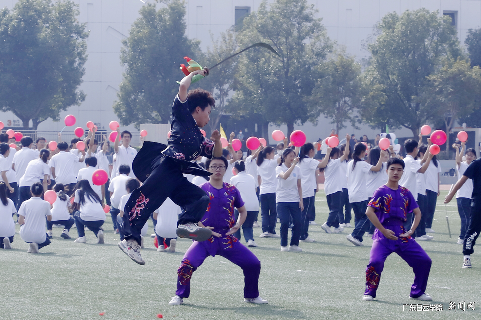 图片 13.png 图片 13.png