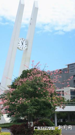 图片 2.png 图片 2.png