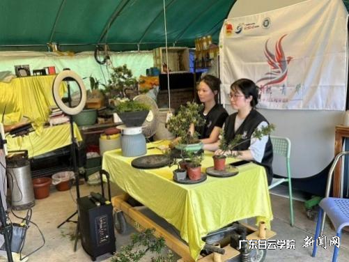 图片 3.png 图片 3.png