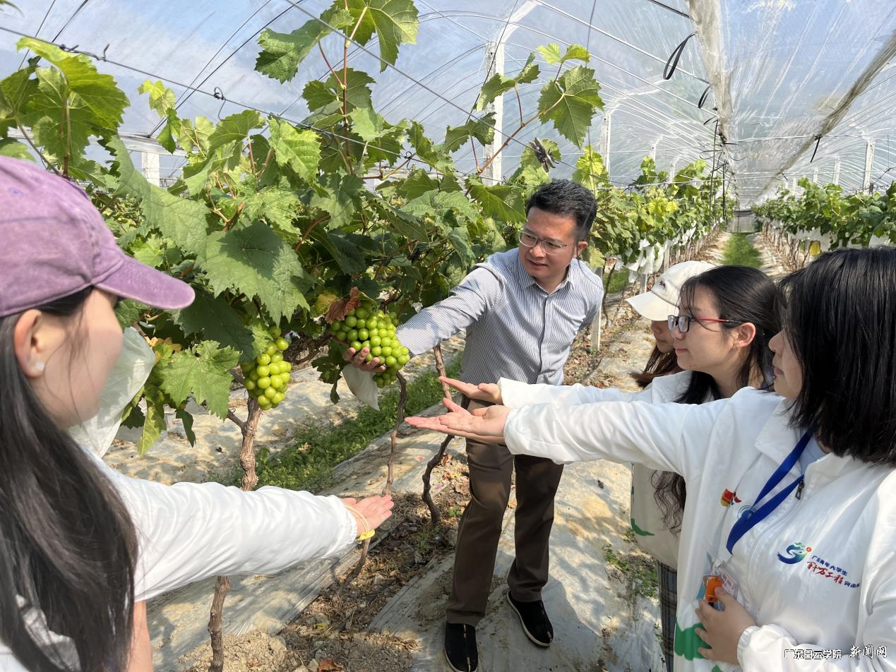 图片 1.png 图片 1.png