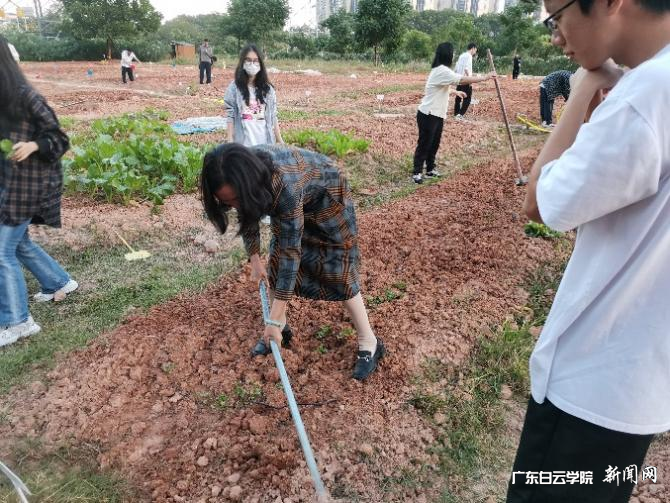 图片 2.png 图片 2.png