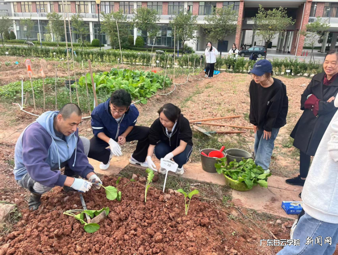 图片 4.png 图片 4.png