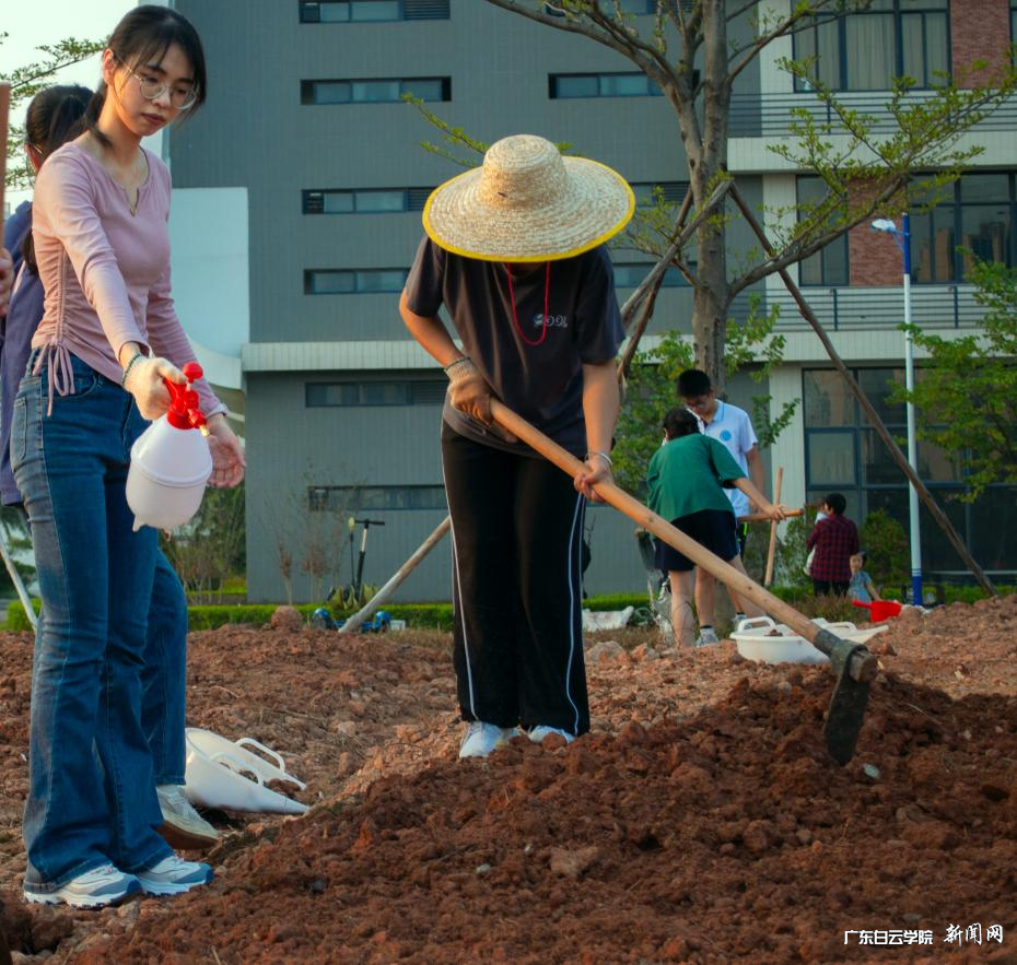 图片 3.png 图片 3.png