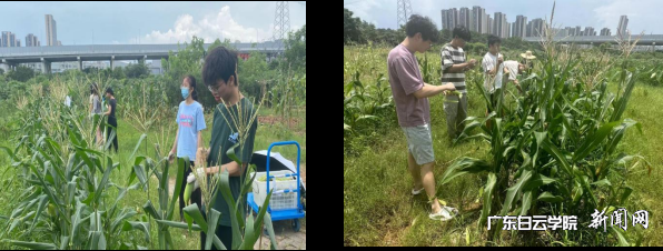 图片 2.png 图片 2.png