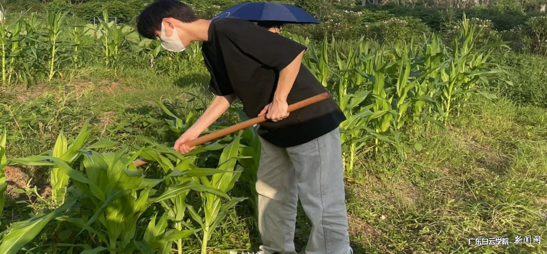 图片 1.png 图片 1.png