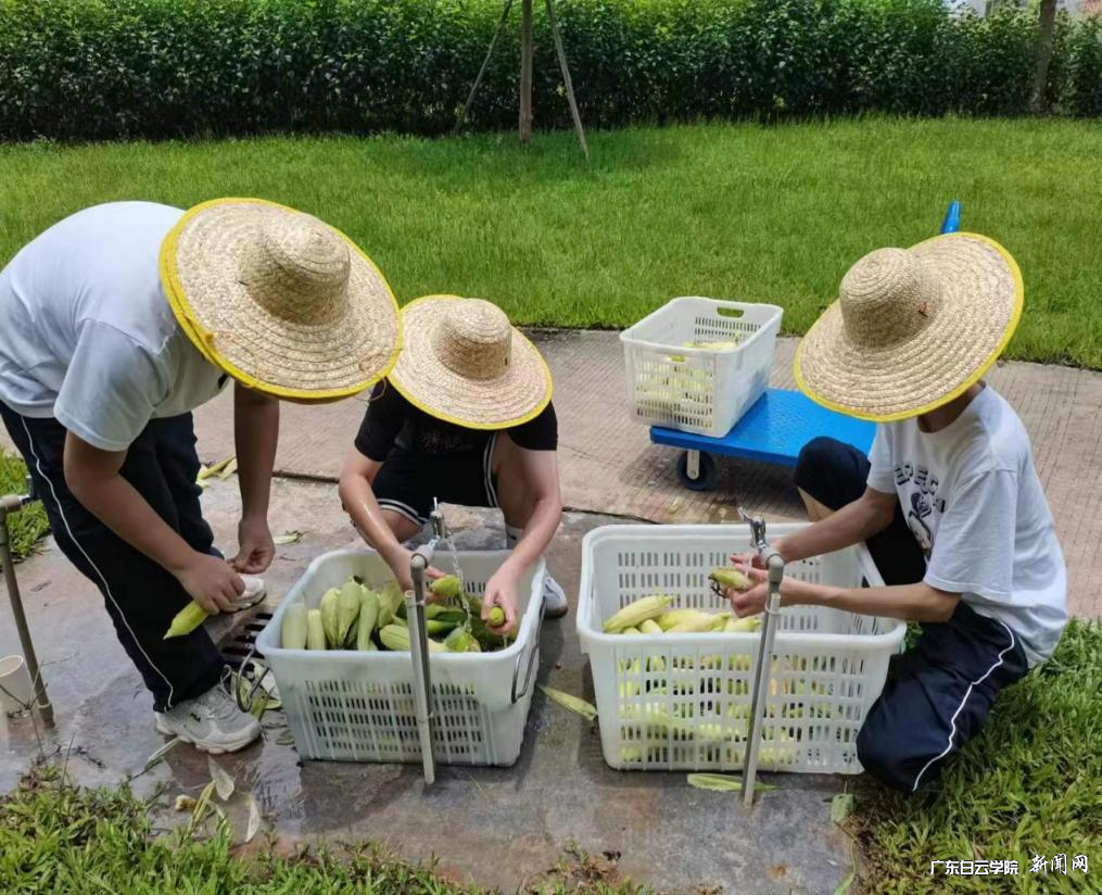 图片 3.png 图片 3.png