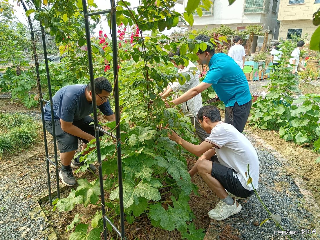 图片 9.png 图片 9.png