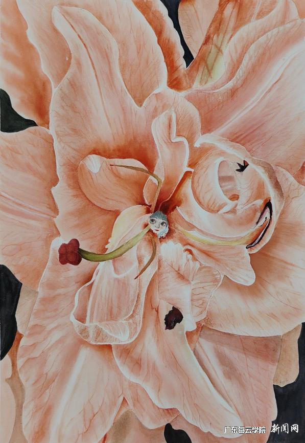 图片 8.png 图片 8.png