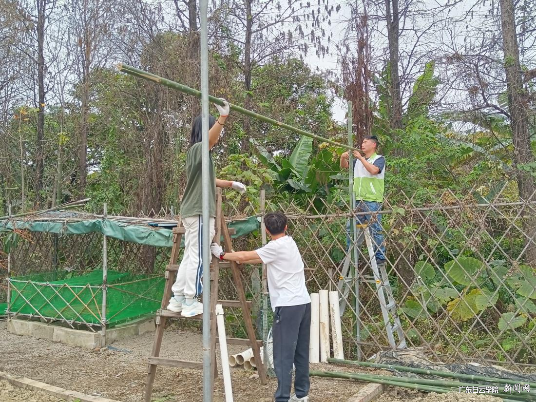 图片 8.png 图片 8.png