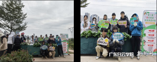 图片 8.png 图片 8.png