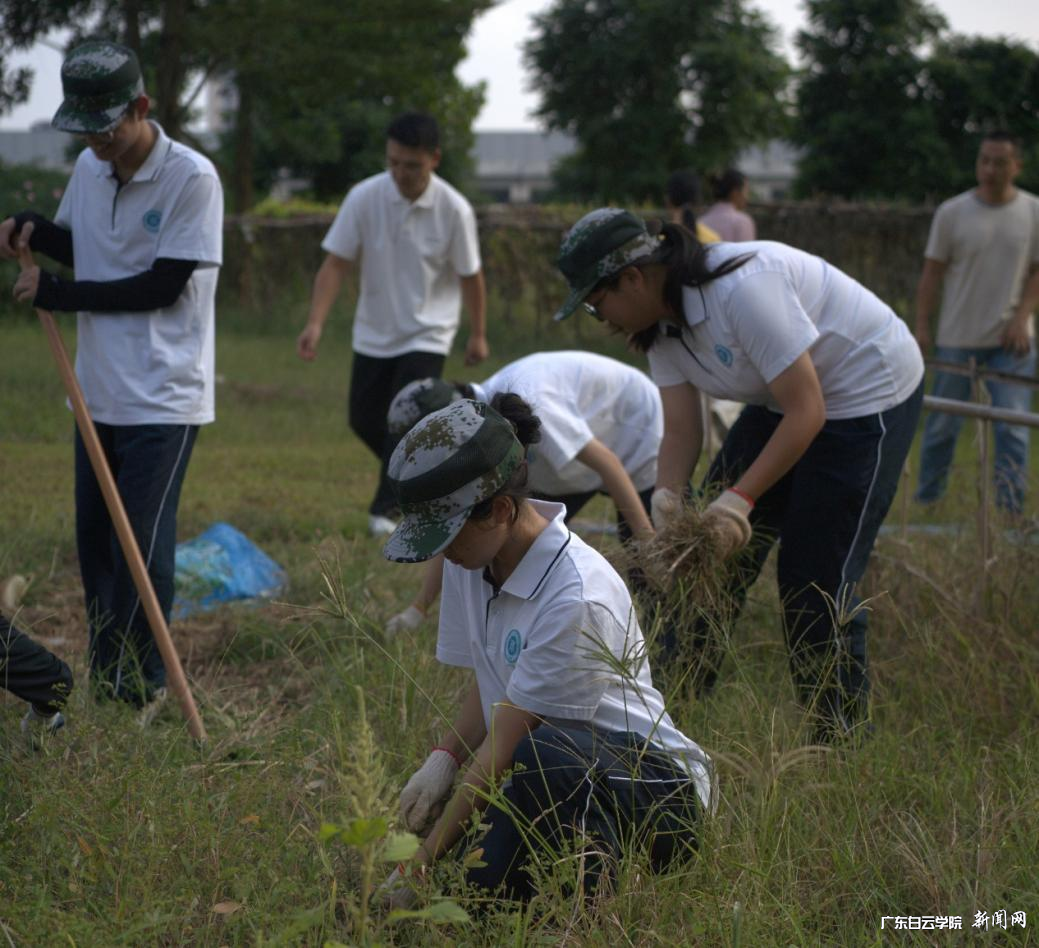 图片 3.png 图片 3.png