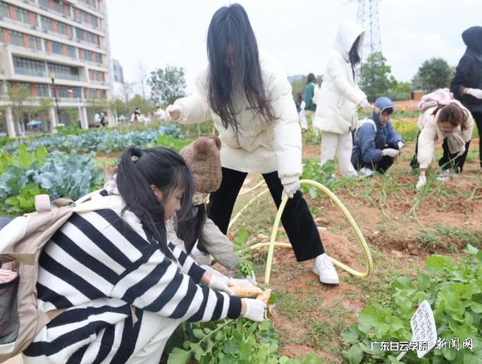 图片 4.png 图片 4.png