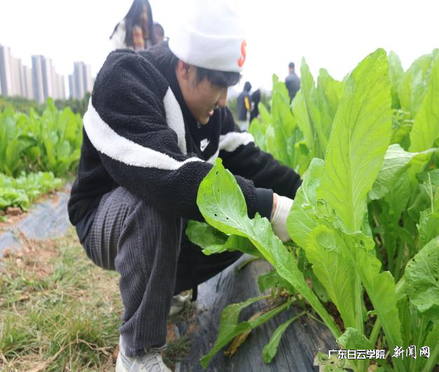 图片 3.png 图片 3.png