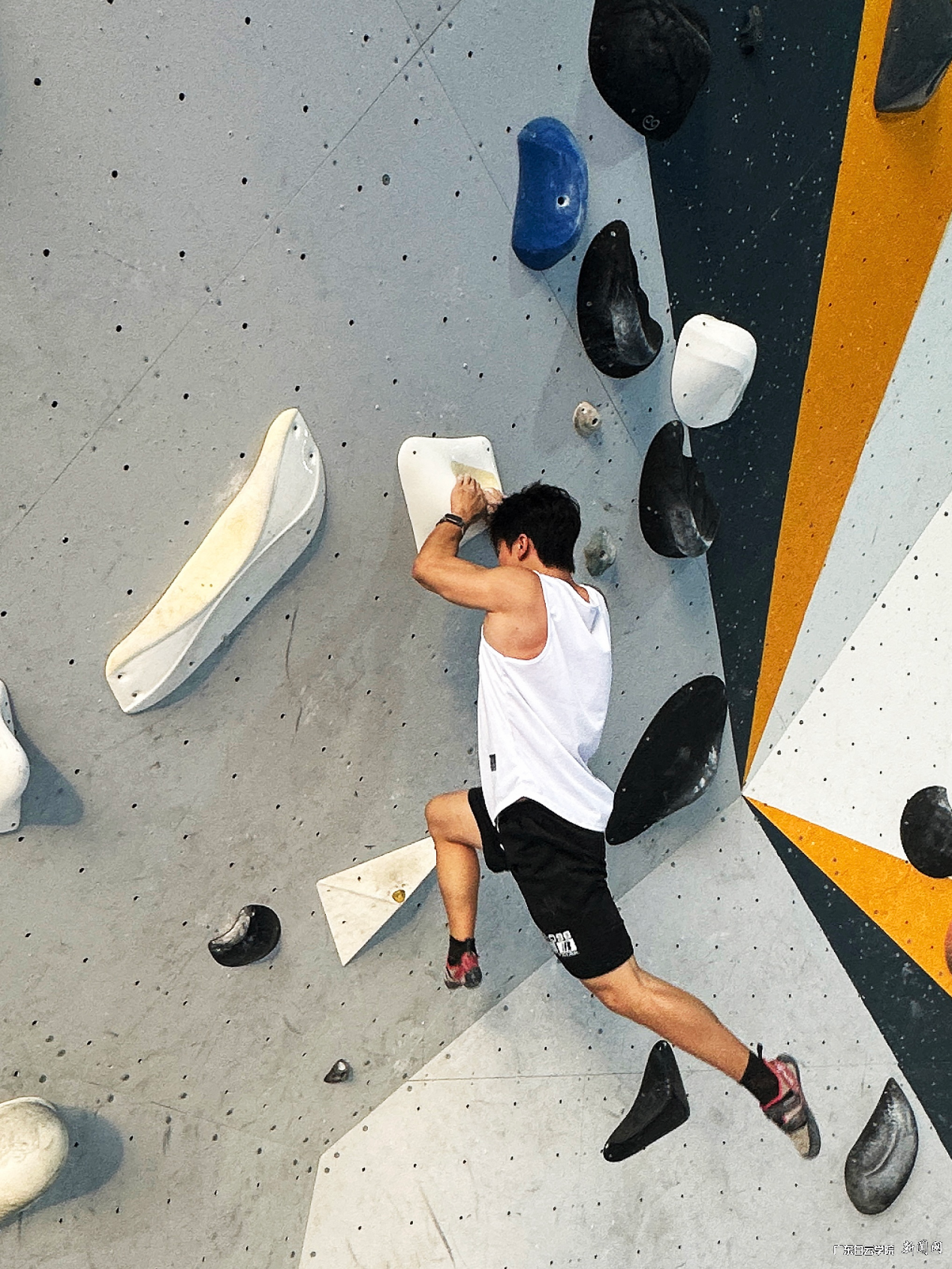 图片 4.png 图片 4.png