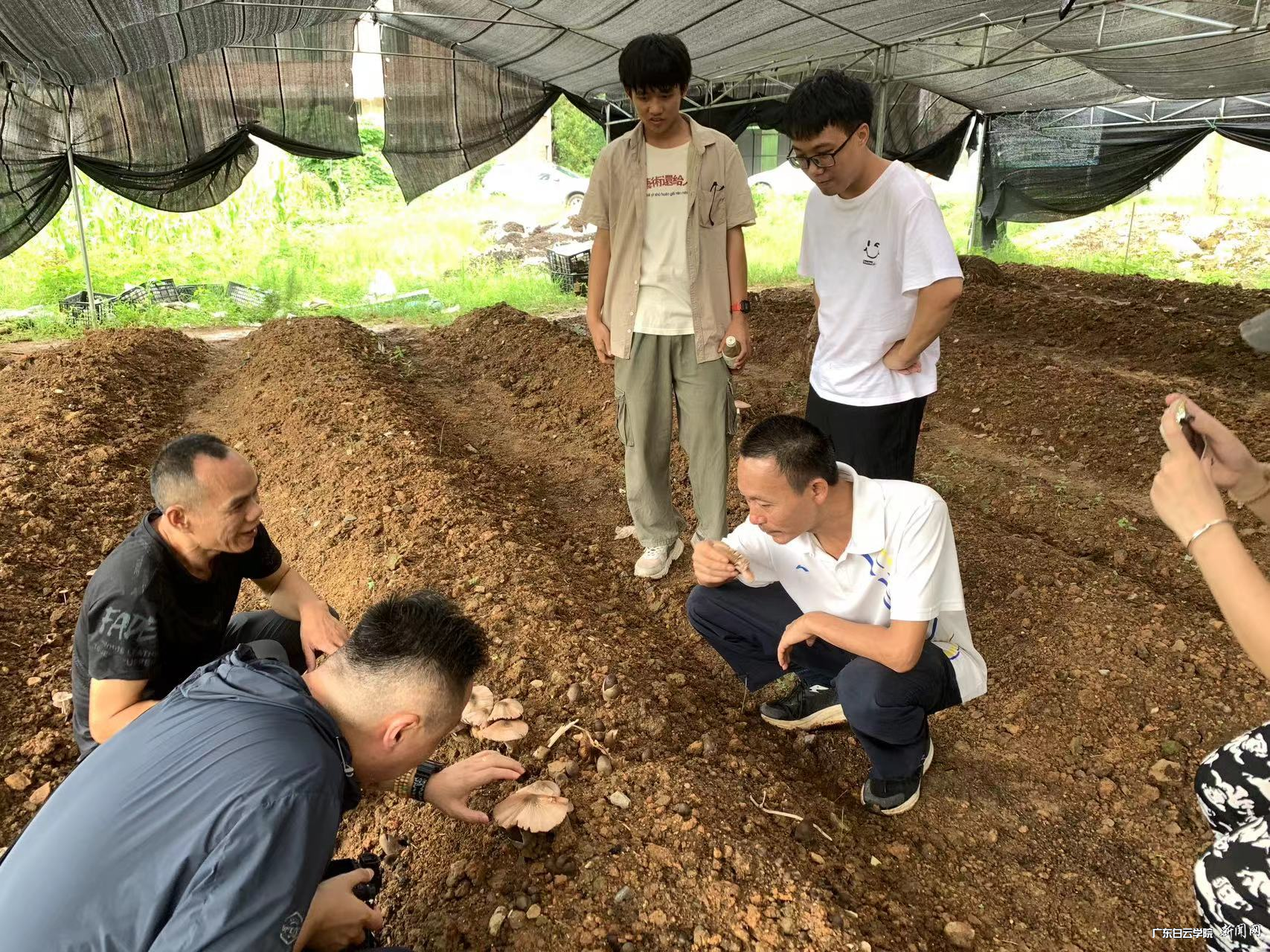 图片 5.png 图片 5.png