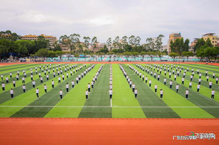 图片 12.png 图片 12.png