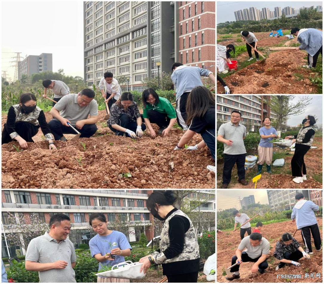 图片 1.png 图片 1.png