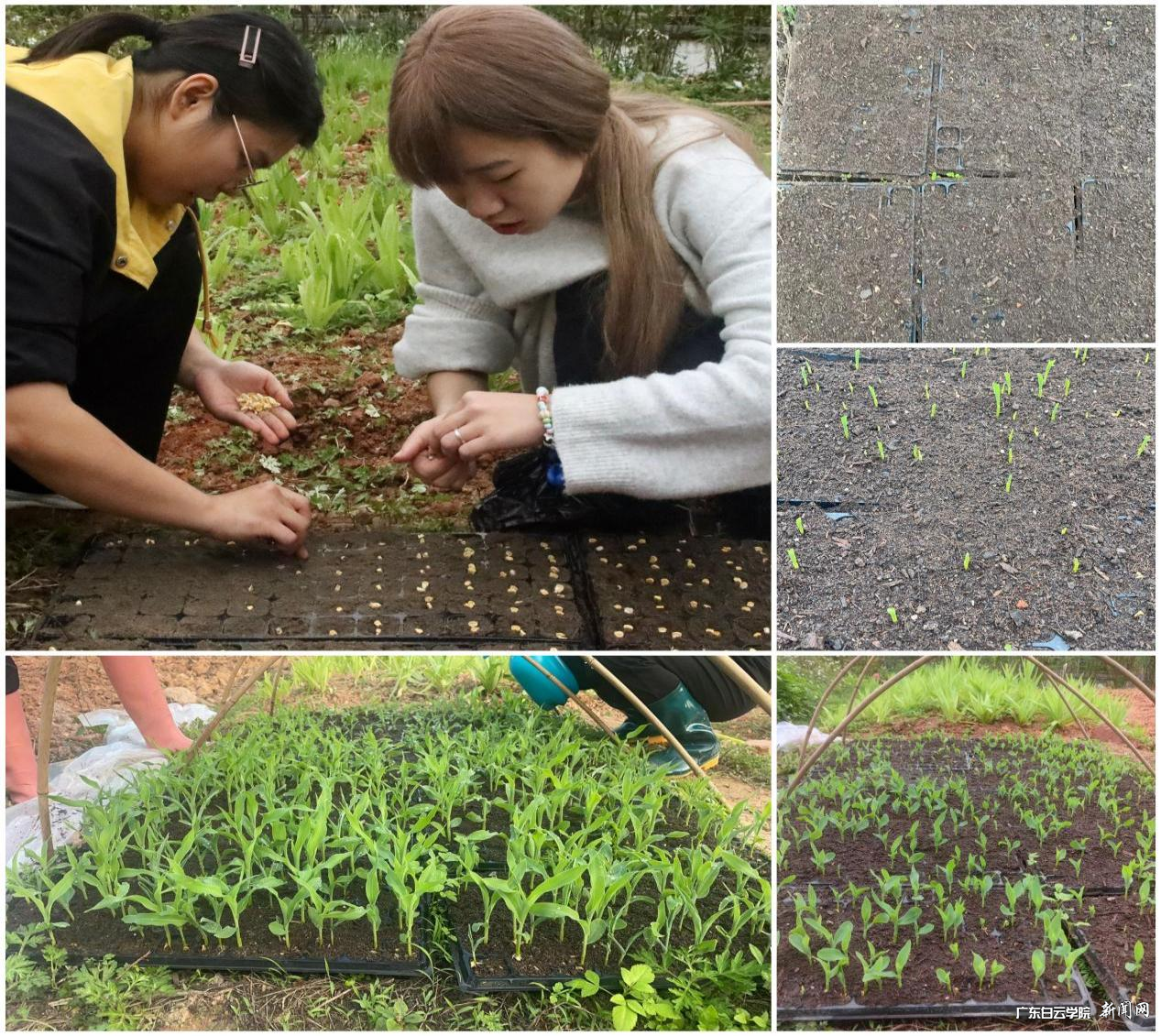 图片 2.png 图片 2.png