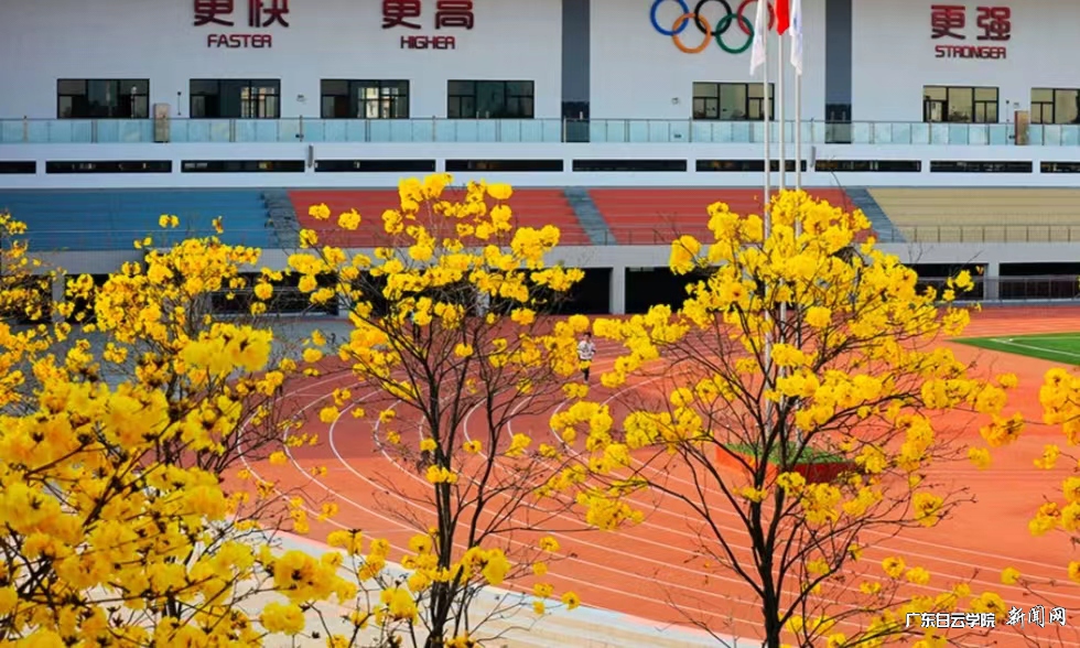 补图1.jpg 补图1.jpg