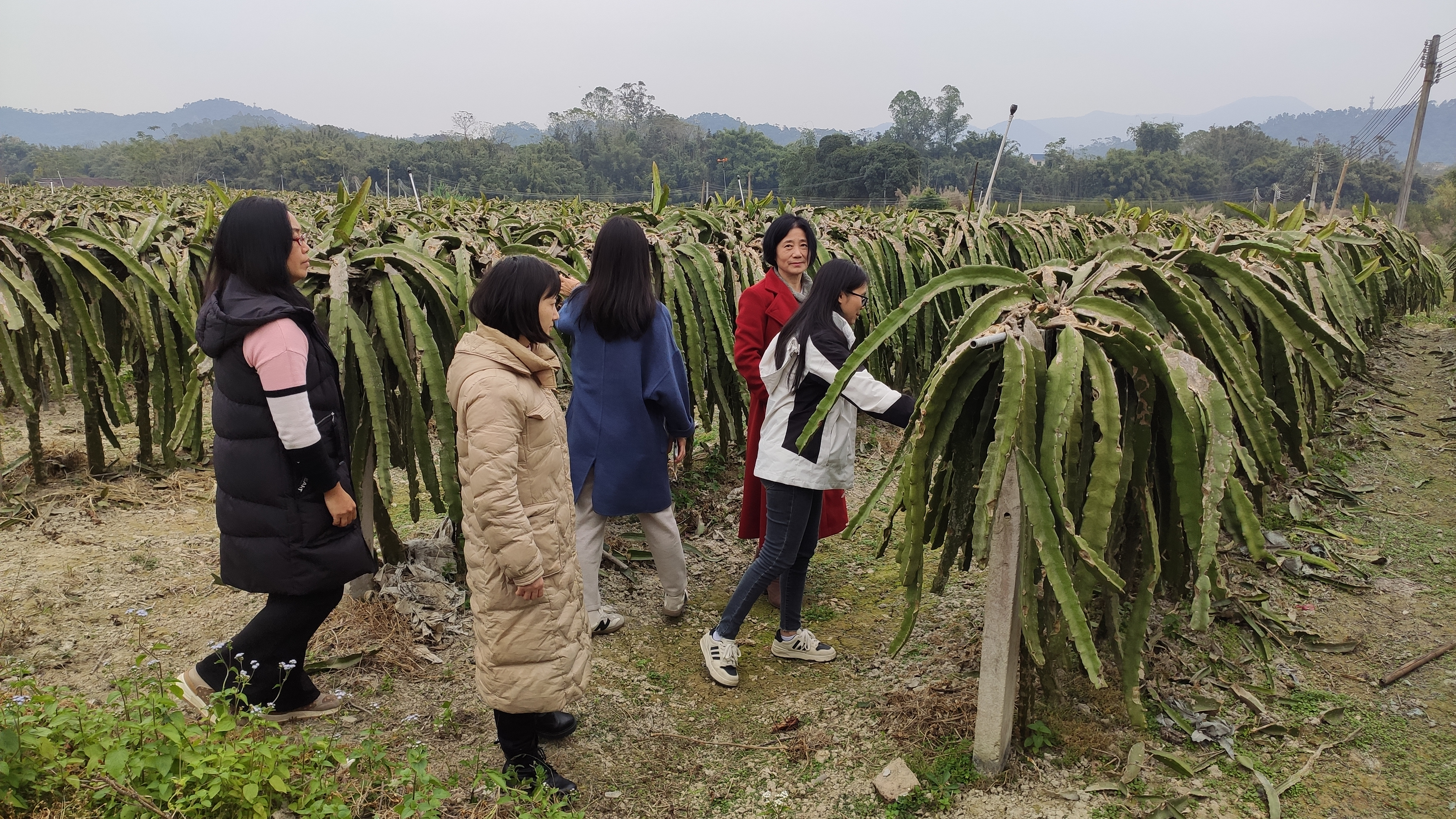 图片 4.png 图片 4.png