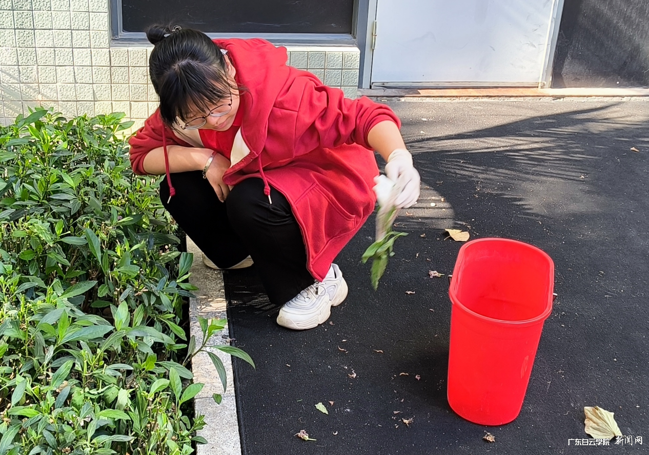 图片 2.png 图片 2.png