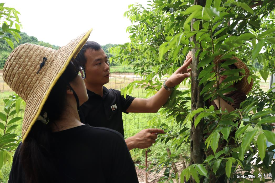 图片 2.png 图片 2.png