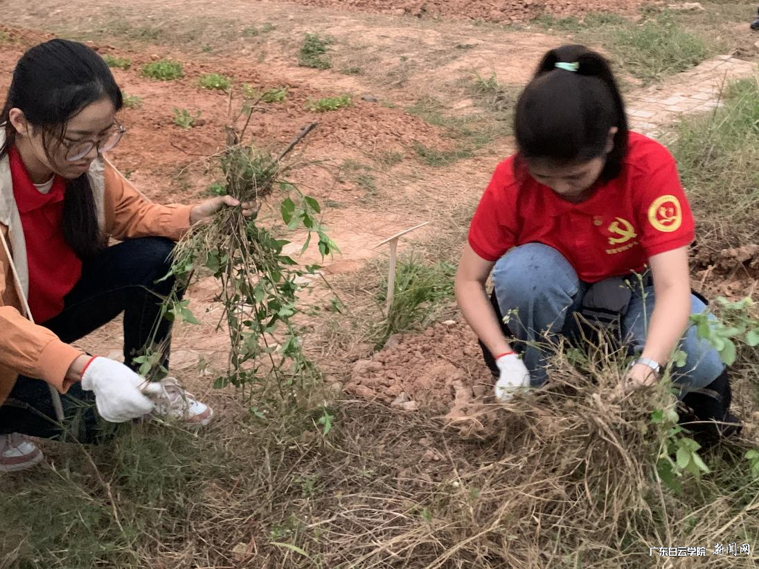 图片 5.png 图片 5.png