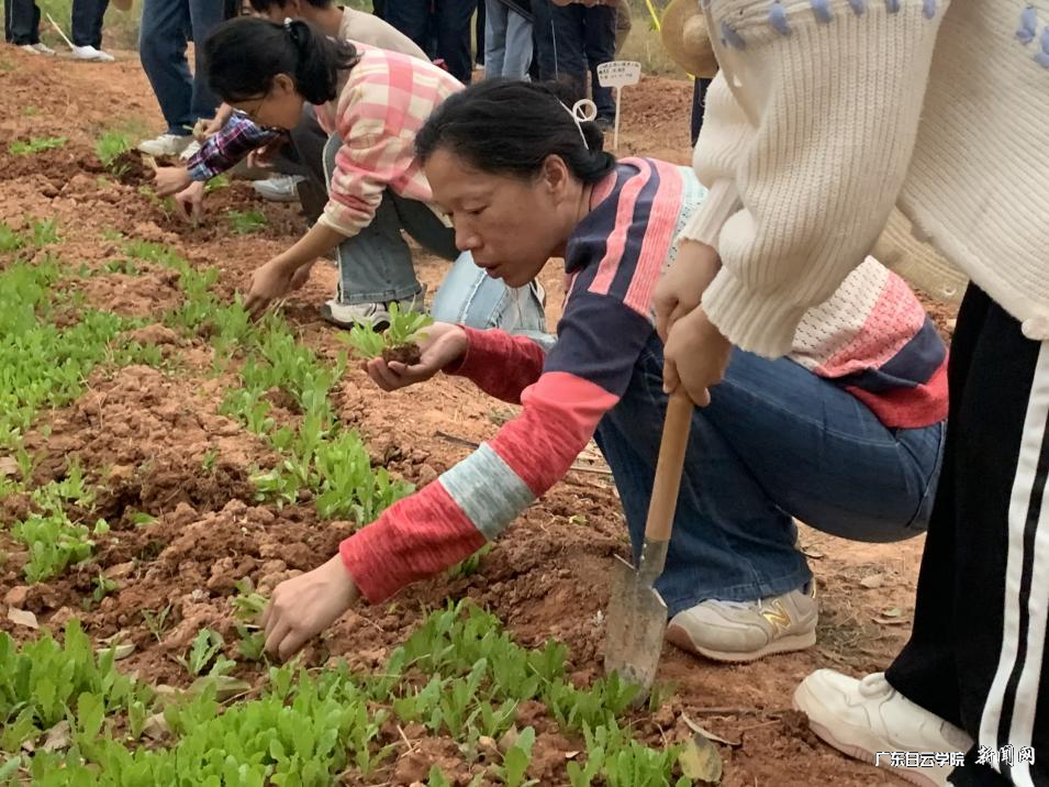 图片 4.png 图片 4.png