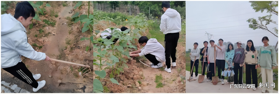 22国贸2班劳动小组.png 22国贸2班劳动小组.png