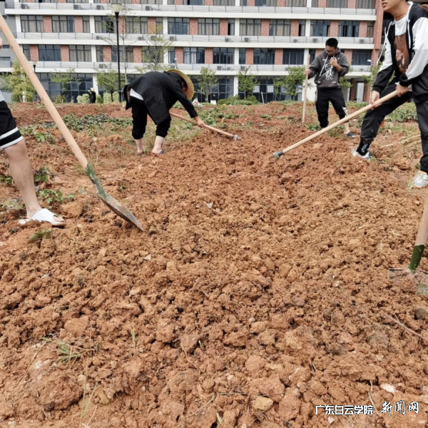 图片 3.png 图片 3.png