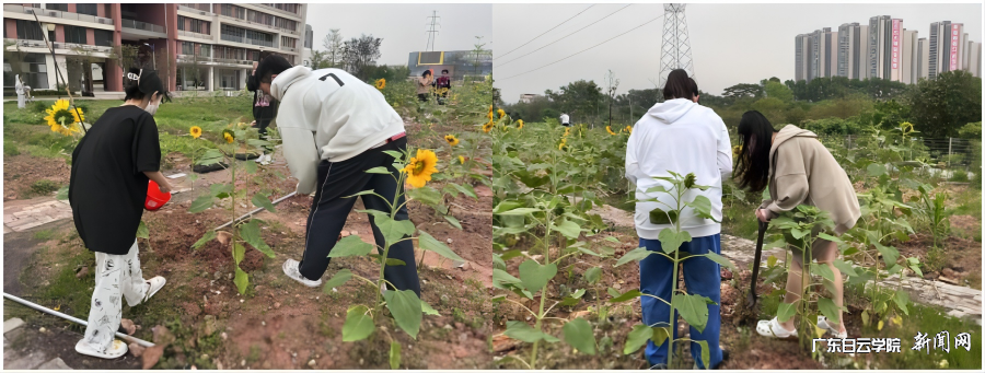 22金融1班.png 22金融1班.png