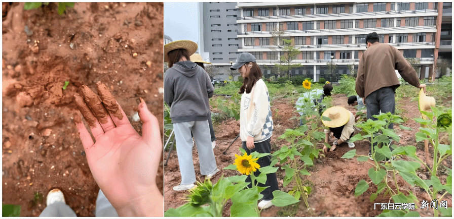 22国贸1班劳动小组.png 22国贸1班劳动小组.png