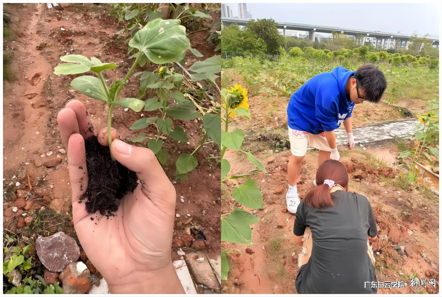 22数字经济2班.png 22数字经济2班.png