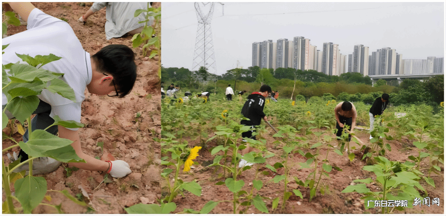 22经济统计1班.png 22经济统计1班.png