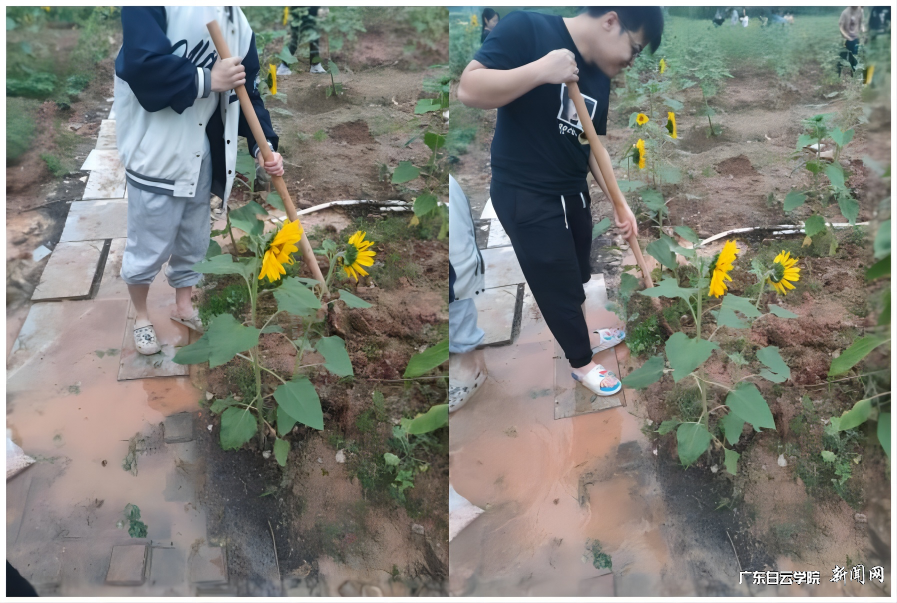 22金融3班.png 22金融3班.png